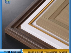 熱熔膠膜   免噴膠吸塑膜   廠(chǎng)家直銷(xiāo)  ZC